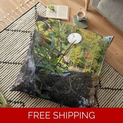 Floor Pillow Case Satellite Dish 2019